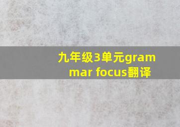 九年级3单元grammar focus翻译